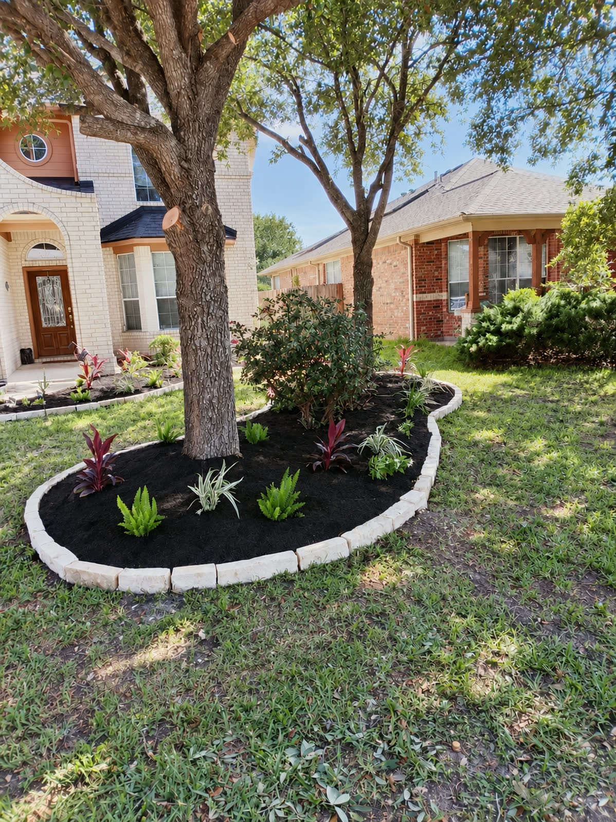 The same front yard after landscaping, with curved stone tree beds, fresh mulch, and new plants