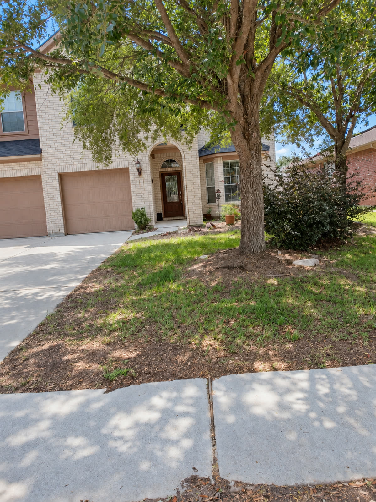 Front entry before new landscaping, with open grass and bare soil around a mature tree