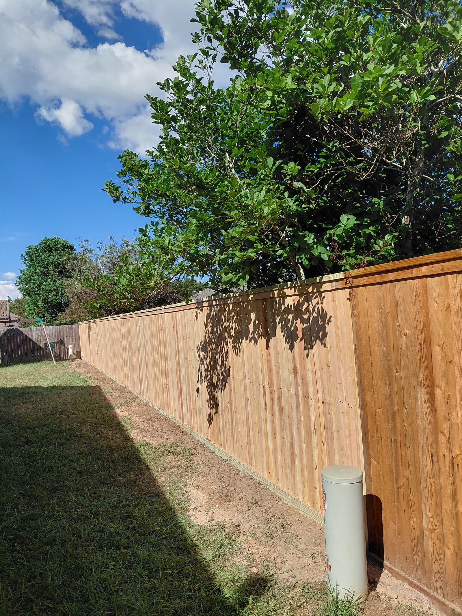 Wooden privacy fence beside a lawn, with sunlight and tree shadows across the boards